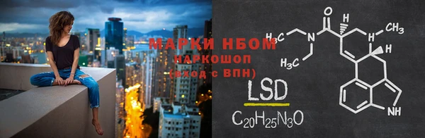 apvp Рославль