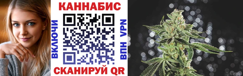 Купить закладки Чегем Бошки марихуана сатива